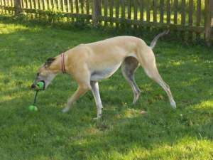 FB_IMG_1422635002978