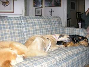 FB_IMG_1422635048865