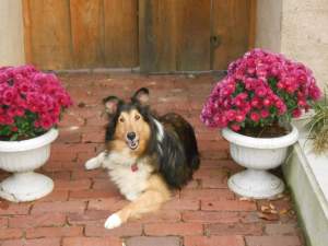 FB_IMG_1424661520063