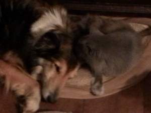 FB_IMG_1427129621741