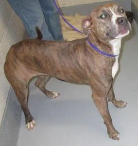 pKISbwVuPwyhEsaQrzLe8-BwSug2ZsS06SX_y8ERR_XeKAEfbXV-R21kmvO67qAX4W4FO2odPtkDQSeo5YjTZ8mWxO2lccyFrKqMCZP0EMTSmEKsMLxp5xZovdqDanQSV2Id18e734lEj4_UvGLETROIXT4-9pEYCb8Dk12SsYkz7Pru9k9cvCvFV8euULnajkmCxHGR5yD5TF6D83RIJlvqwcl02qiBxSRmAnza