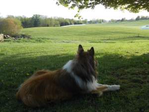 FB_IMG_1431355821050