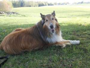 Duncan-Best Smile Ever