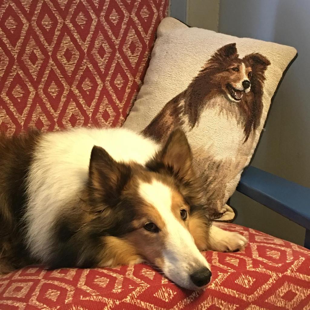 Contemplation on the New Year