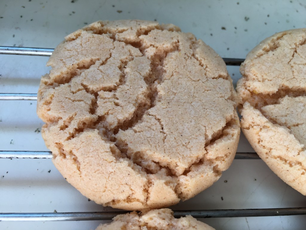 Orange ginger cinnamon cookies