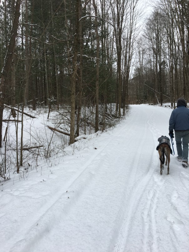 Hiking at West Branch State Park, on the trail.