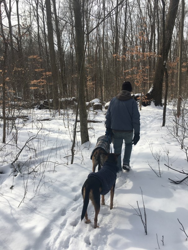 Dogs hiking, West Branch State Park, Ohio