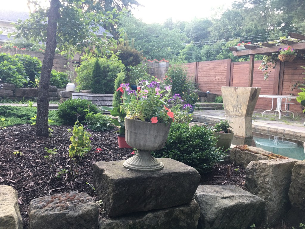 view from the patio garden